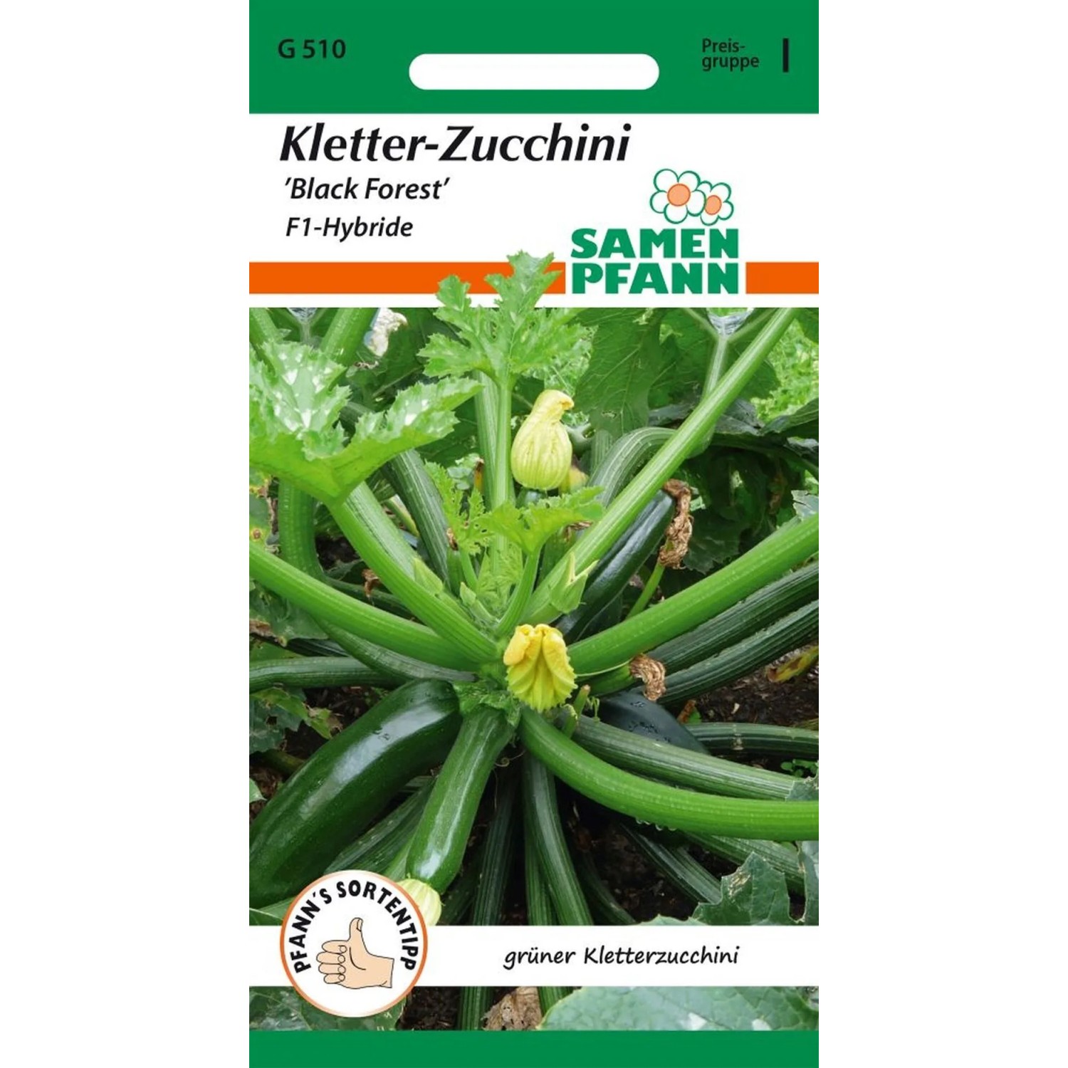 SAMEN PFANN Zucchini Black Forest F1 Kletterzucchini günstig online kaufen