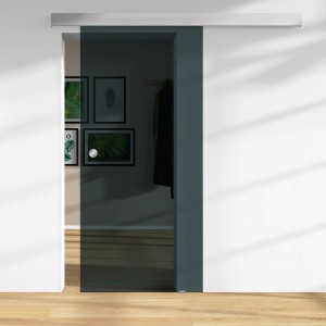 Anthrazit Glasschiebetür ESG, 2060x940mm, für barrierefreies Wohnen. Glastür ohne Schienen-Set.