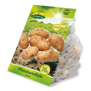 Quedlinburger Pflanzkartoffeln 'Spunta' im Kleinpack: vorwiegend festkochend, gelbschalig.