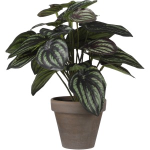 Dunkelgrüne Mica Decorations Kunstpflanze Peperomia im Topf, Ø 23 cm.