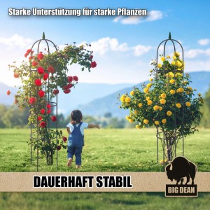 BigDean Rankgitter aus Metall mit Rosen bepflanzt im Garten, 1,93m hoch.