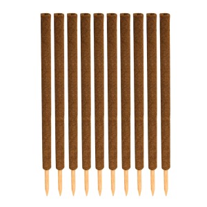 10 braune Kokos-Pflanzstäbe für Monstera Rankhilfen. Raue Kokosfaser, verlängerbar, mit angespitztem Holzstab für Zimmerpflanzen.