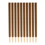 10 braune Kokos-Pflanzstäbe für Monstera Rankhilfen. Raue Kokosfaser, verlängerbar, mit angespitztem Holzstab für Zimmerpflanzen.