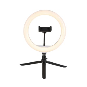 Mömax LED-Dekoleuchte Tofo in Schwarz max. 6 Watt