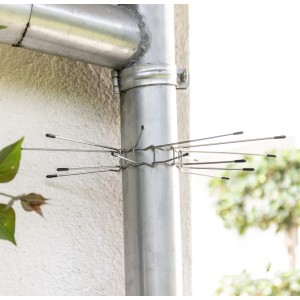 Windhager Marderabwehr Fallrohr-Gürtel (2 Stk.) am Fallrohr montiert.