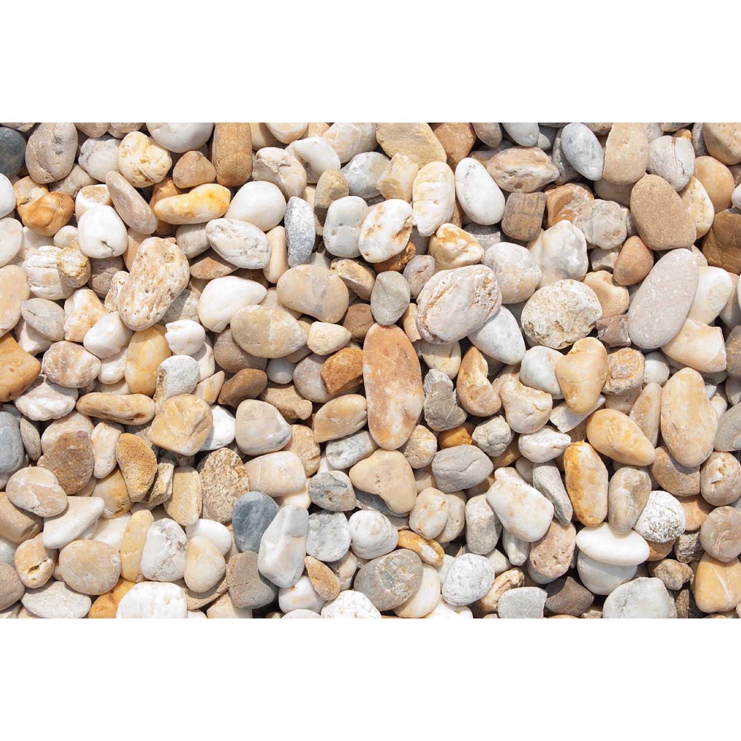 Flusskiesel Bunt 16 - 32 mm 10 kg PE-Sack