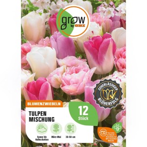 GROW by OBI Tulpen-Kollektion: Rosa, weiße und grüne Tulpenmischung, 12 Stück als Blumenzwiebeln.