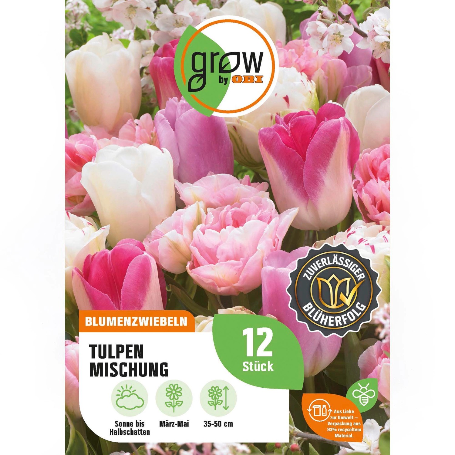 GROW by OBI Tulpen Mischung Nr. 3 / 12 Stück Tulipa mix günstig online kaufen
