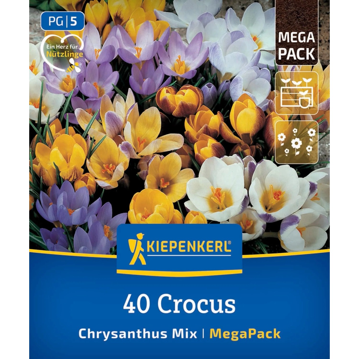 Kiepenkerl Blumenzwiebel Mega-Pack Botanische Krokusmischung 40 Stück