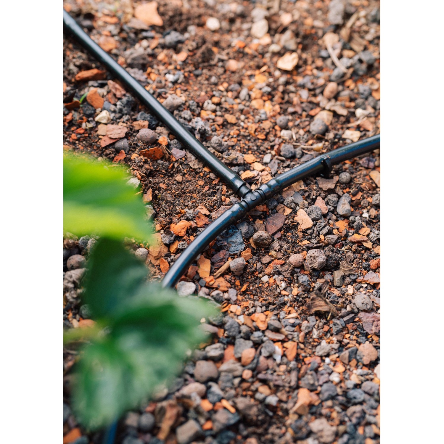 Geka Drip Set Bewässerungssystem für Gemüse- und Blumenbeete mit 6 mm Tropfrohr.