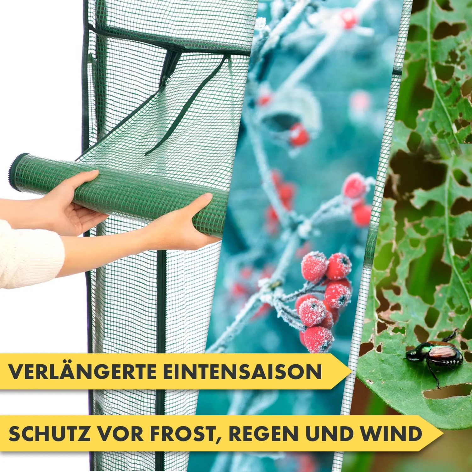 Detailaufnahme: KARAT Gewächshaus Botanika, robust & witterungsbeständig. Schutz vor Frost, Regen und Wind.