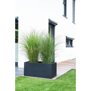 Anthrazitfarbener Vivanno Pflanzkübel Maxi (100x45x45 cm) mit Bepflanzung im Garten.