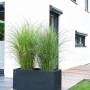 Anthrazitfarbener Vivanno Pflanzkübel Maxi (100x45x45 cm) mit Bepflanzung im Garten.