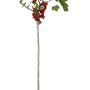 OBI Bio Johannisbeere Hochstamm Rot (Ribes rubrum) im Topf mit roten Beeren und grünen Blättern.