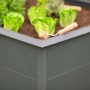 Westmann Hochbeet Primus aus Metall, 2x1m, Anthrazit, mit Salat bepflanzt.