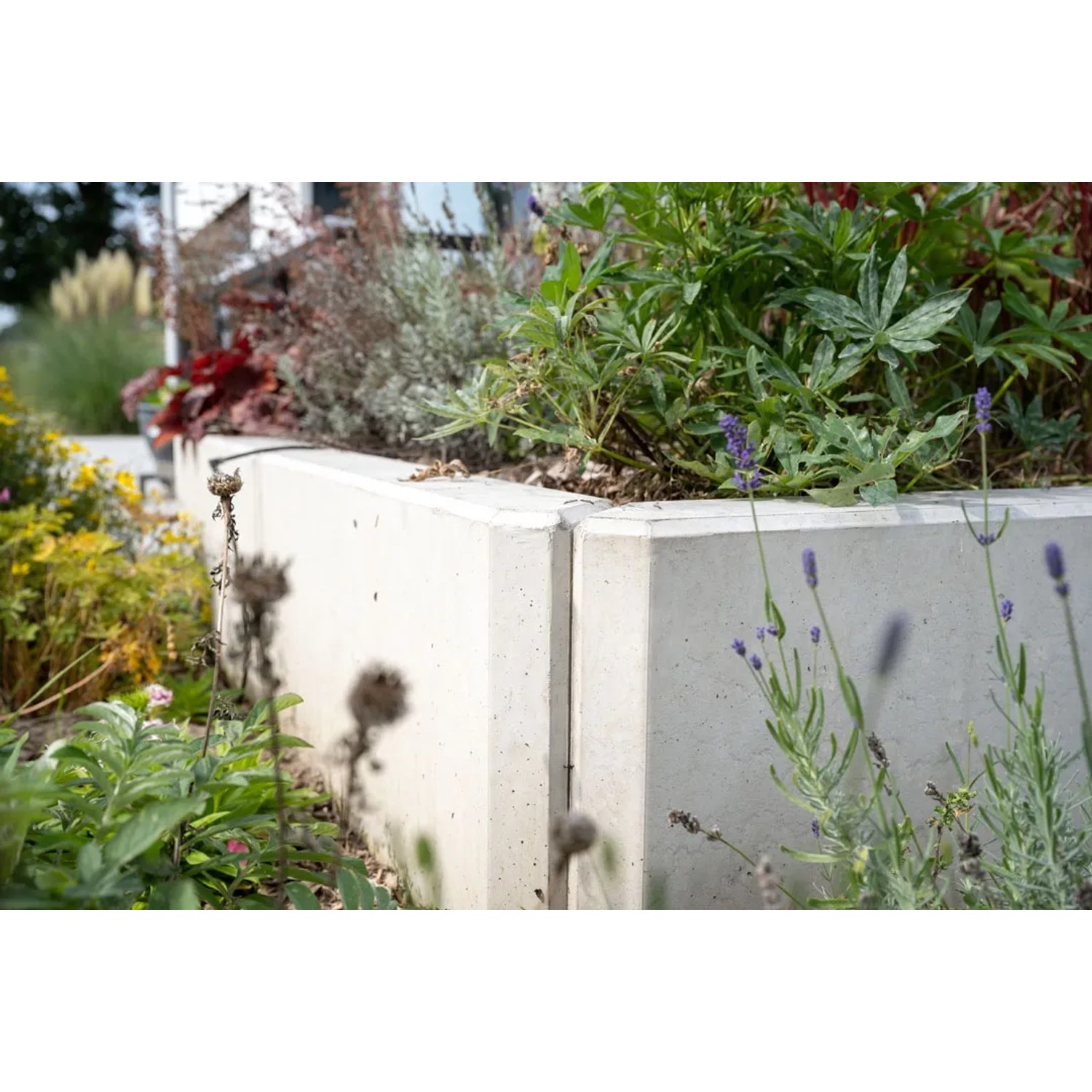 Diephaus L-Stein Ecke, bewehrt, grau, 90 Grad, 2-teilig, als Einfassung im Garten.