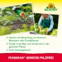 Neudorff Fungisan Gemüse-Pilzfrei 1l: Sprühflasche zur Anwendung im Gemüsegarten.