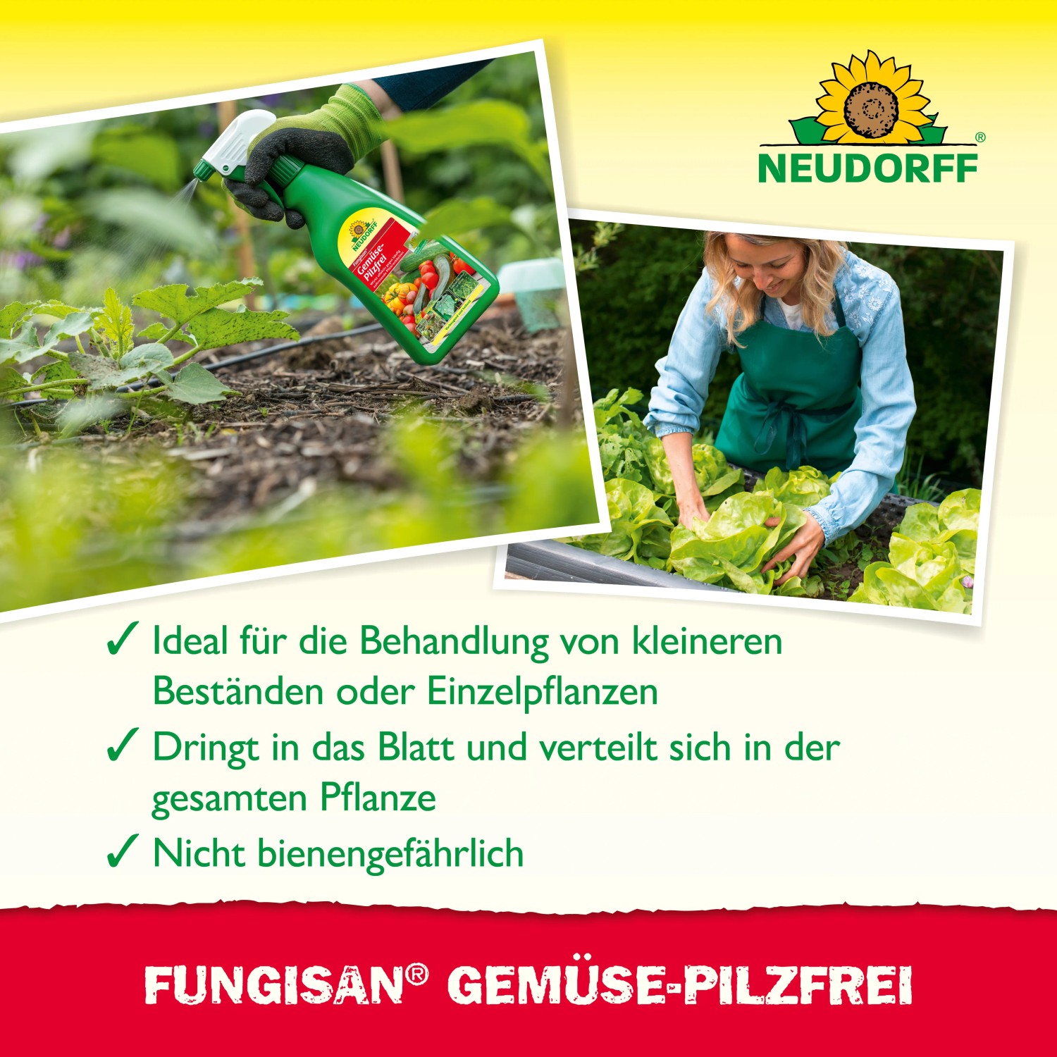 Neudorff Fungisan Gemüse-Pilzfrei 1l: Sprühflasche zur Anwendung im Gemüsegarten.