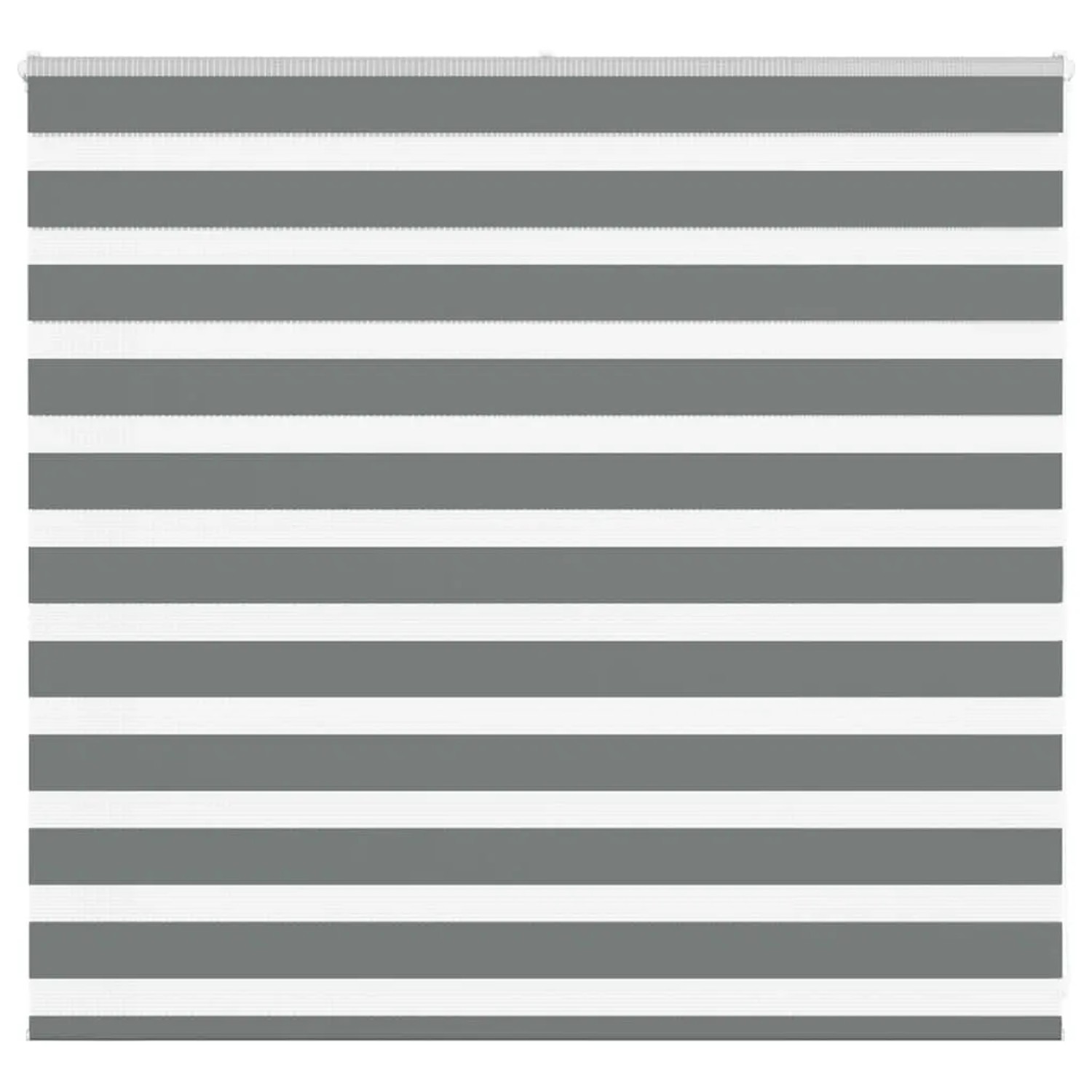 vidaXL Doppelrollo Dunkelgrau 155x100 cm Stoffbreite 150,9 cm Polyester 401 günstig online kaufen