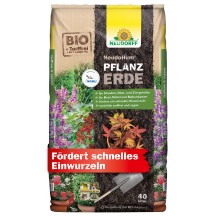 Pflanzerde kaufen bei OBI