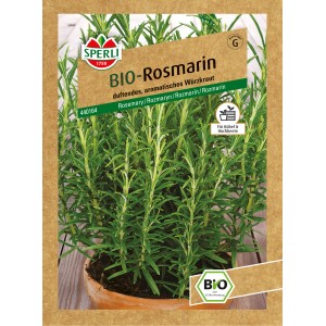 Sperli Bio Rosmarin Samenpackung mit Rosmarinpflanze im Topf, aromatisches Würzkraut.