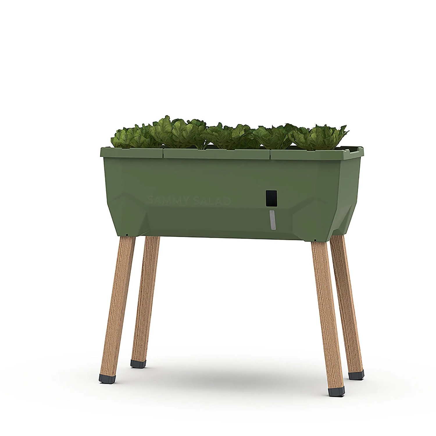 Gusta Garden Sammy Salad Anzuchtsgefäß, 15 L, dunkelgrün, mit Salat bepflanzt, auf Holzbeinen.