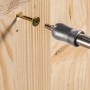 Einhell Bit-Bohrerbox: Schraube wird mit Bit in Holz geschraubt.
