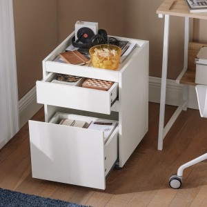 SoBuy Aktenschrank mit 2 Schubladen Beistellwagen für Schreibtisch Nachttisch mit Rollen FBT121-W