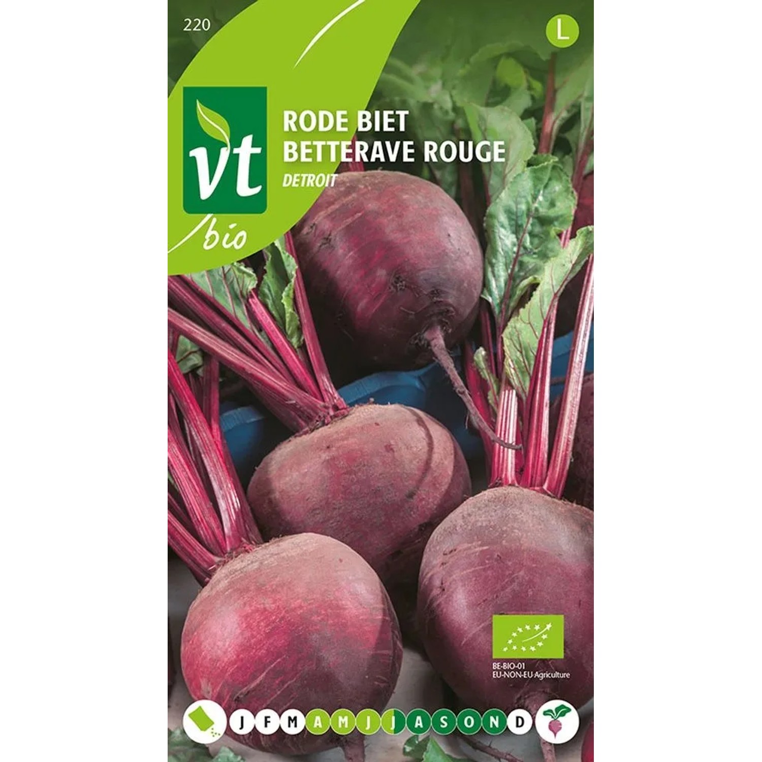Rote Bete 'Detroit' Bio Samen Ca. 4 g Nährstoffreich