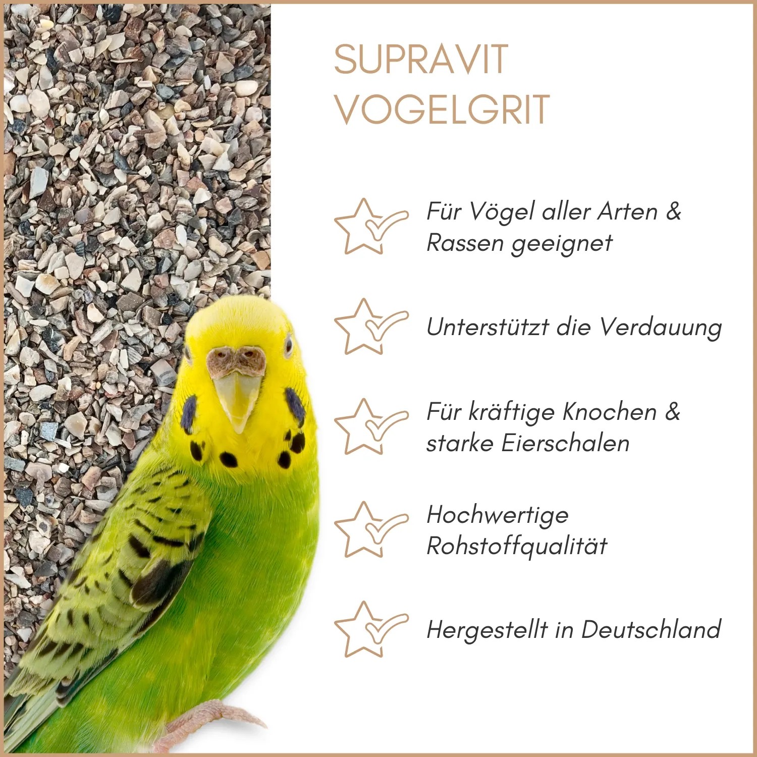 Grüner Wellensittich neben Supravit Vogelgrit. Das Ergänzungsfutter unterstützt die Verdauung von Vögeln & Geflügel.