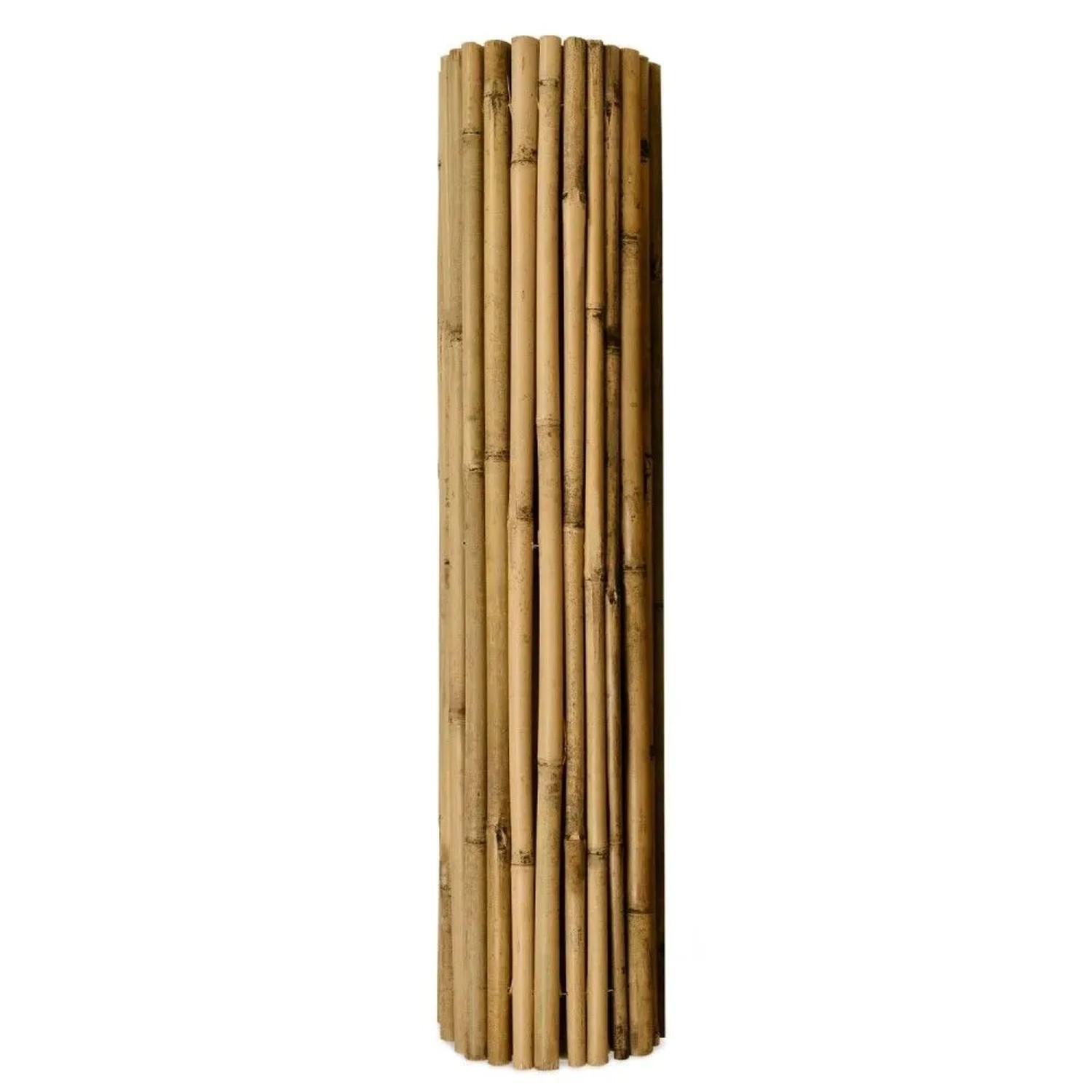 Gerollter Bambus Sichtschutzzaun Sol Royal SolVision B38. Natürliche Bambusmatte für Garten, Terrasse oder Balkon.