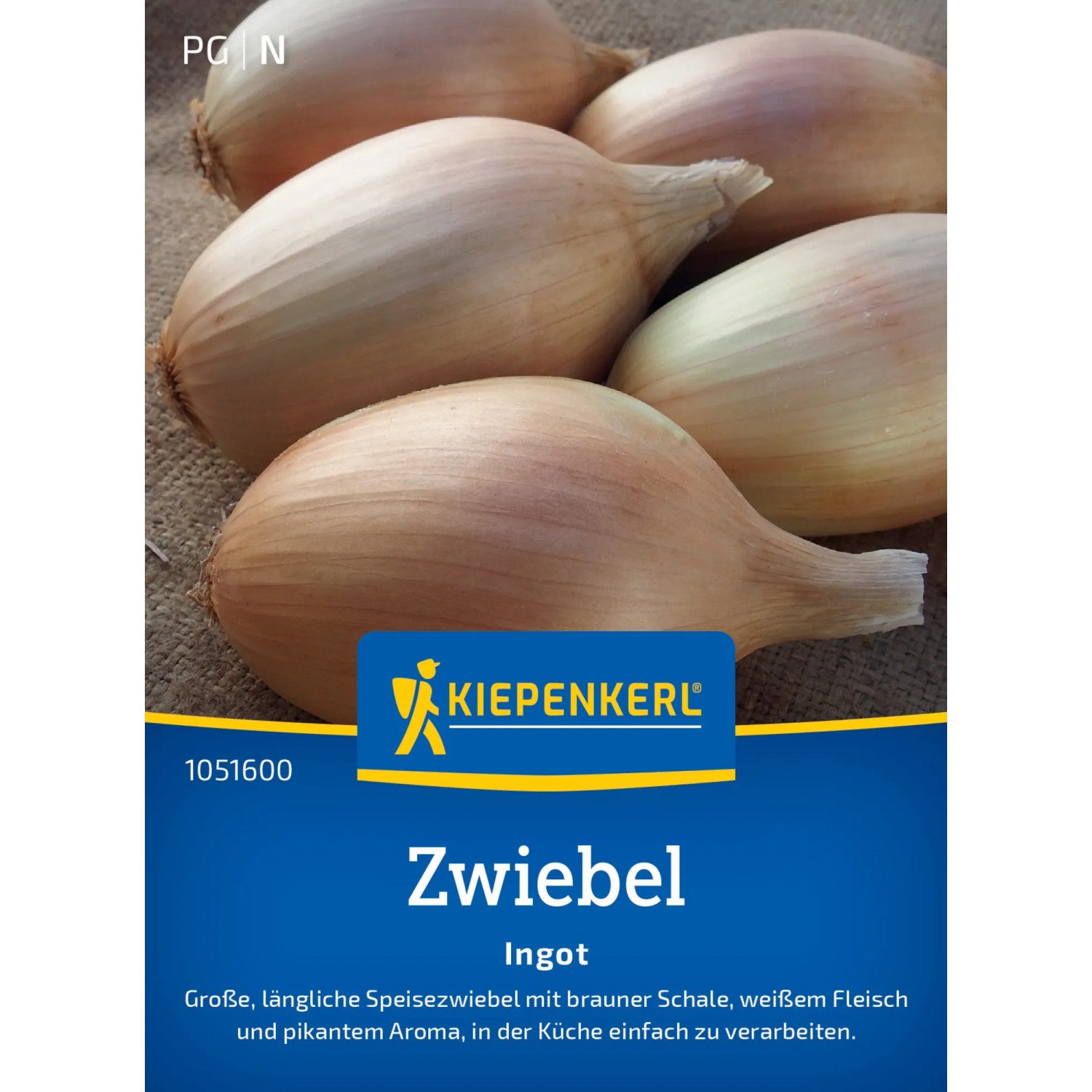Kiepenkerl Zwiebel "Ingot" F1-Hybride
