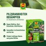 Compo Ortiva Spezial Pilz-frei, 20ml Packung. Rosenschutzmittel gegen Mehltau, Rost und Braunfäule.