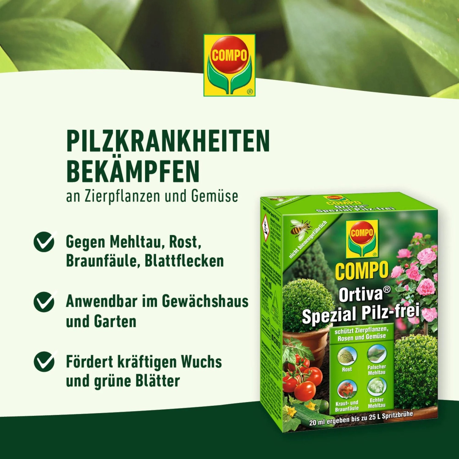 Compo Ortiva Spezial Pilz-frei, 20ml Packung. Rosenschutzmittel gegen Mehltau, Rost und Braunfäule.