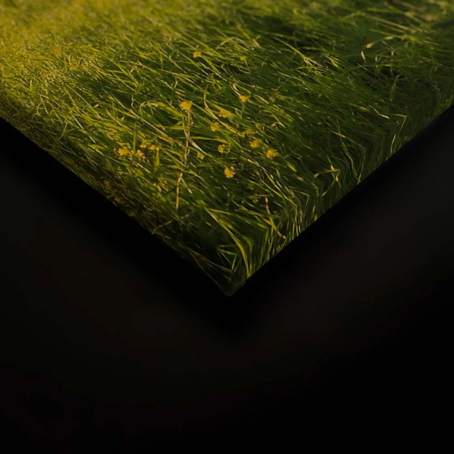 Wandbild Toskana Landschaft, grüne Wiese mit gelben Blumen, Leinwandbild 90x60 cm