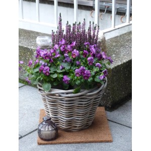 Kokosfaser Mulchmatte 4er Set als Topfuntersetzer und Baumschutz, Natur, 30x30 cm.