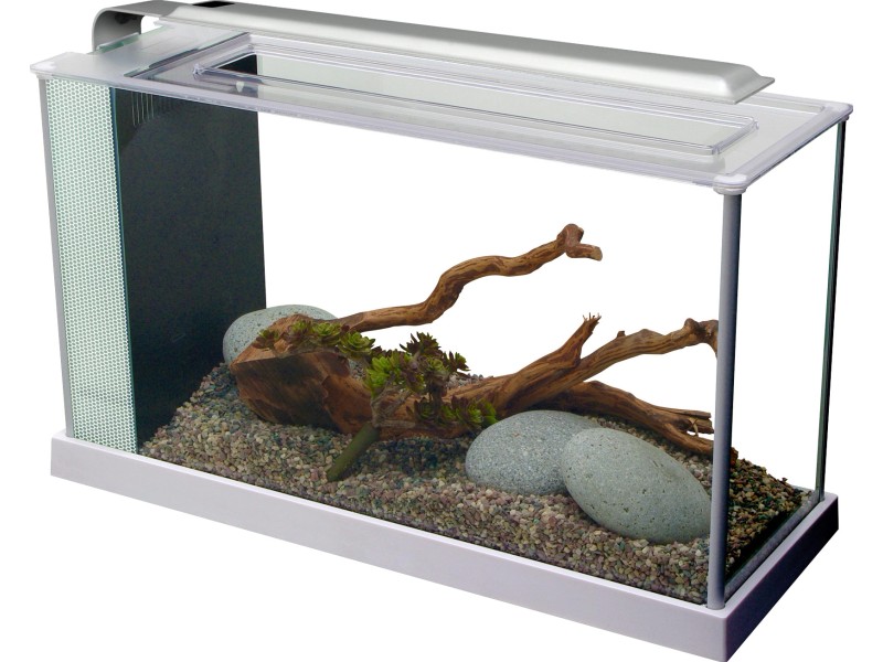 Fluval Aquarium-Set Spec 5 LED 19 l Weiß kaufen bei OBI