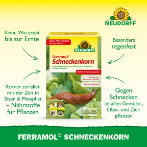 Neudorff Ferramol Schneckenkorn 200g: Packung mit Schnecke auf Salatblatt, zur Bekämpfung von Nacktschnecken.