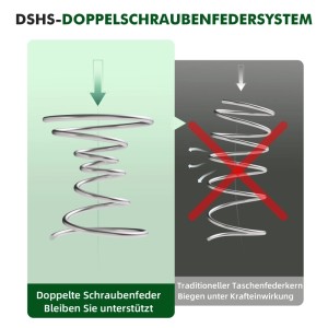 Grafik: DSHS-Doppelschraubenfeder vs. traditioneller Taschenfederkern der Matratze im Vergleich.