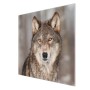 Banjado 2-teilige Herdabdeckplatte aus Glas mit Wolfsmotiv, 30x52 cm, auch als Schneidebrett nutzbar.