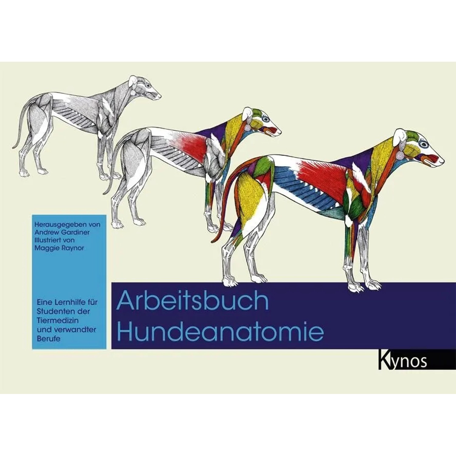 Arbeitsbuch Hundeanatomie