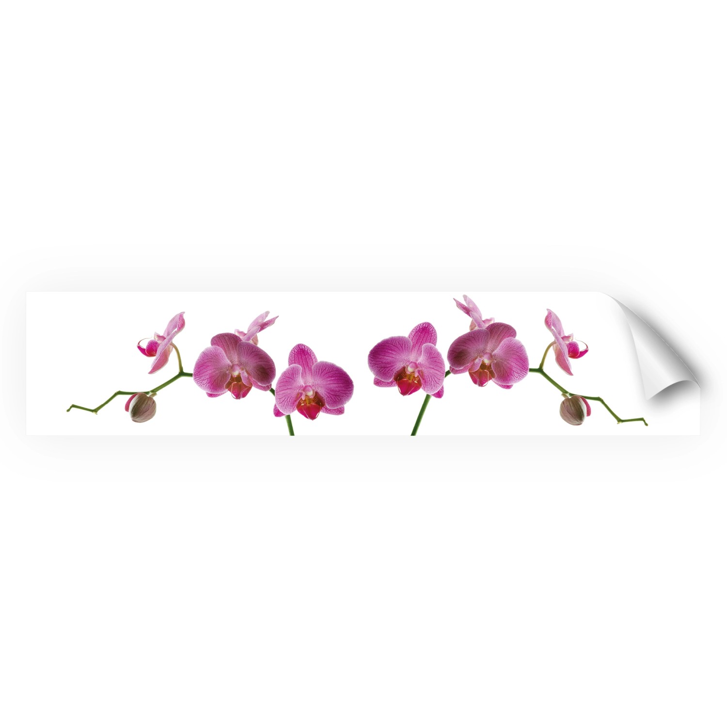 Myspotti Küchenrückwandfolie Orchidee Pink Selbstklebend 280 cm x 60 cm