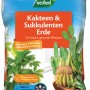 Westland Kakteen- & Sukkulentenerde, 4 Liter Sack für gesunde Pflanzen.