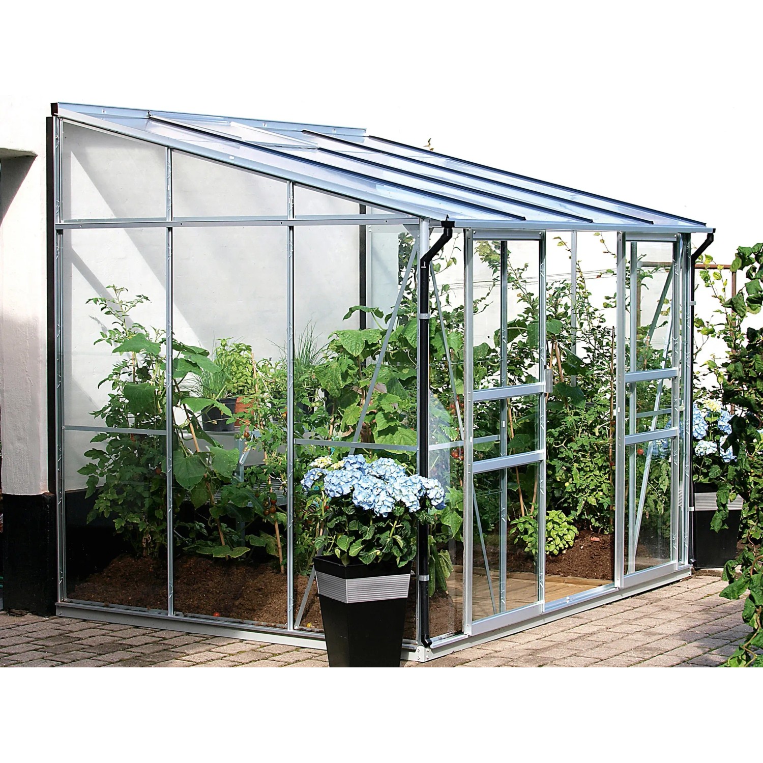 Anlehn-Gewächshaus Ida 5200 Smaragd mit Pflanzen und blauer Hortensie im Topf.
