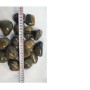 Aquagart 20kg Polierter Kiesel Glanzkies Flusskiesel Kieselsteine Gartenkies Zierkies Braun_5