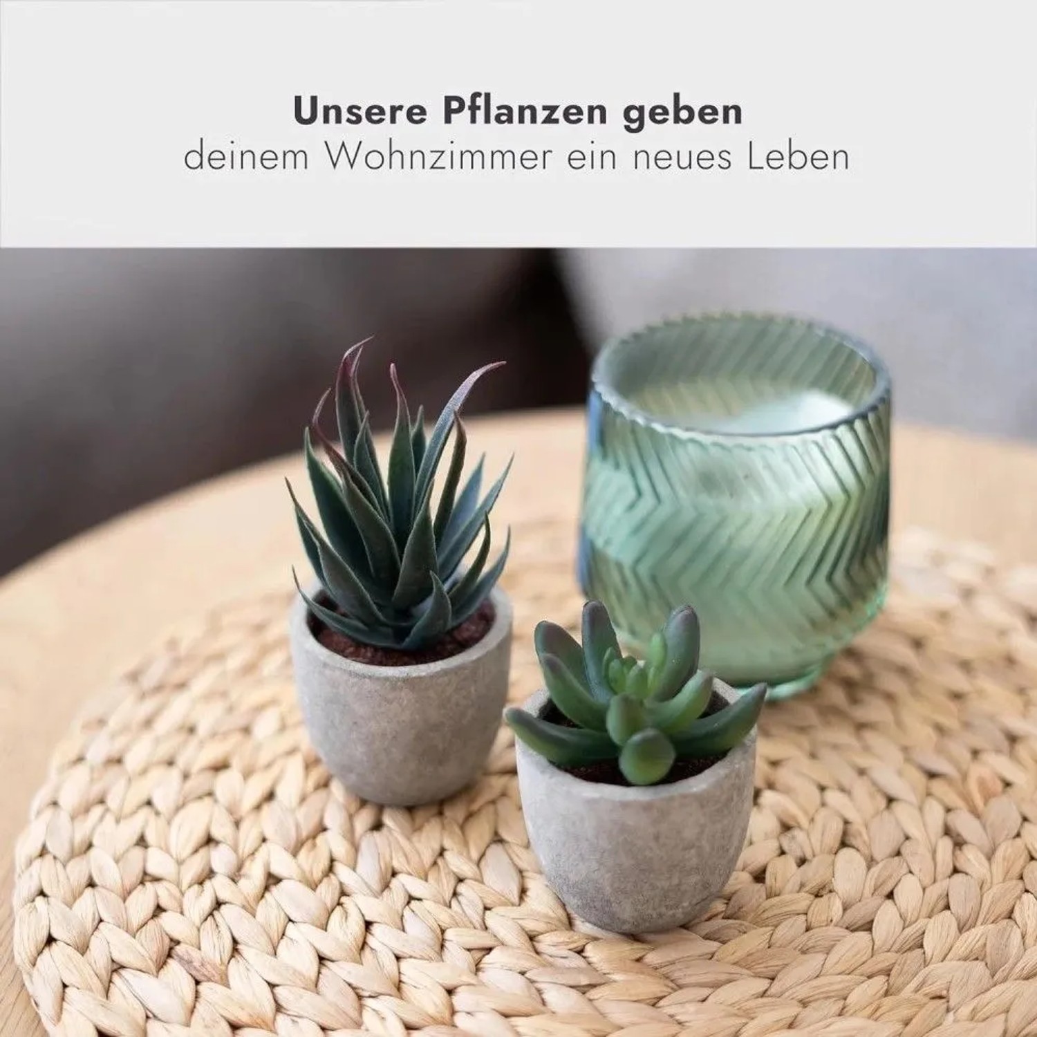 addhome 6er Set Kunstpflanzen Sukkulenten in Töpfen mit Steinoptik auf Tisch.