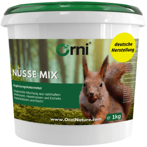 Orni Nüsse Mix für Eichhörnchen im Eimer, mit Eichhörnchen-Abbildung. Eichhörnchenfutter für eine artgerechte Ernährung.