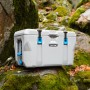 Graue Lifetime Kühlbox Premium 73L mit Tragegriffen auf moosbewachsenem Stein.
