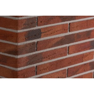 Elabrick Eckverblender Gdansk 4 cm x 10 cm/29 cm Rot 2 m¹