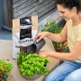 Frau befüllt Topf mit Lechuza Veggiepon Pflanzsubstrat für Gemüse und Obst.